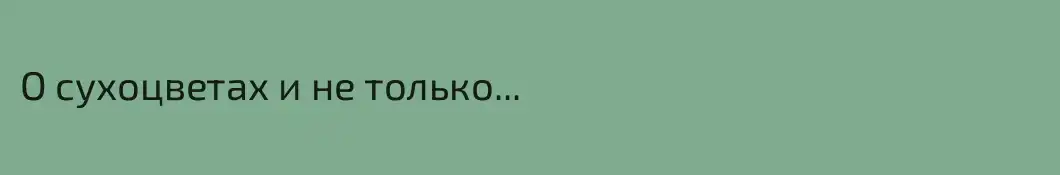 О сухоцветах и не только...